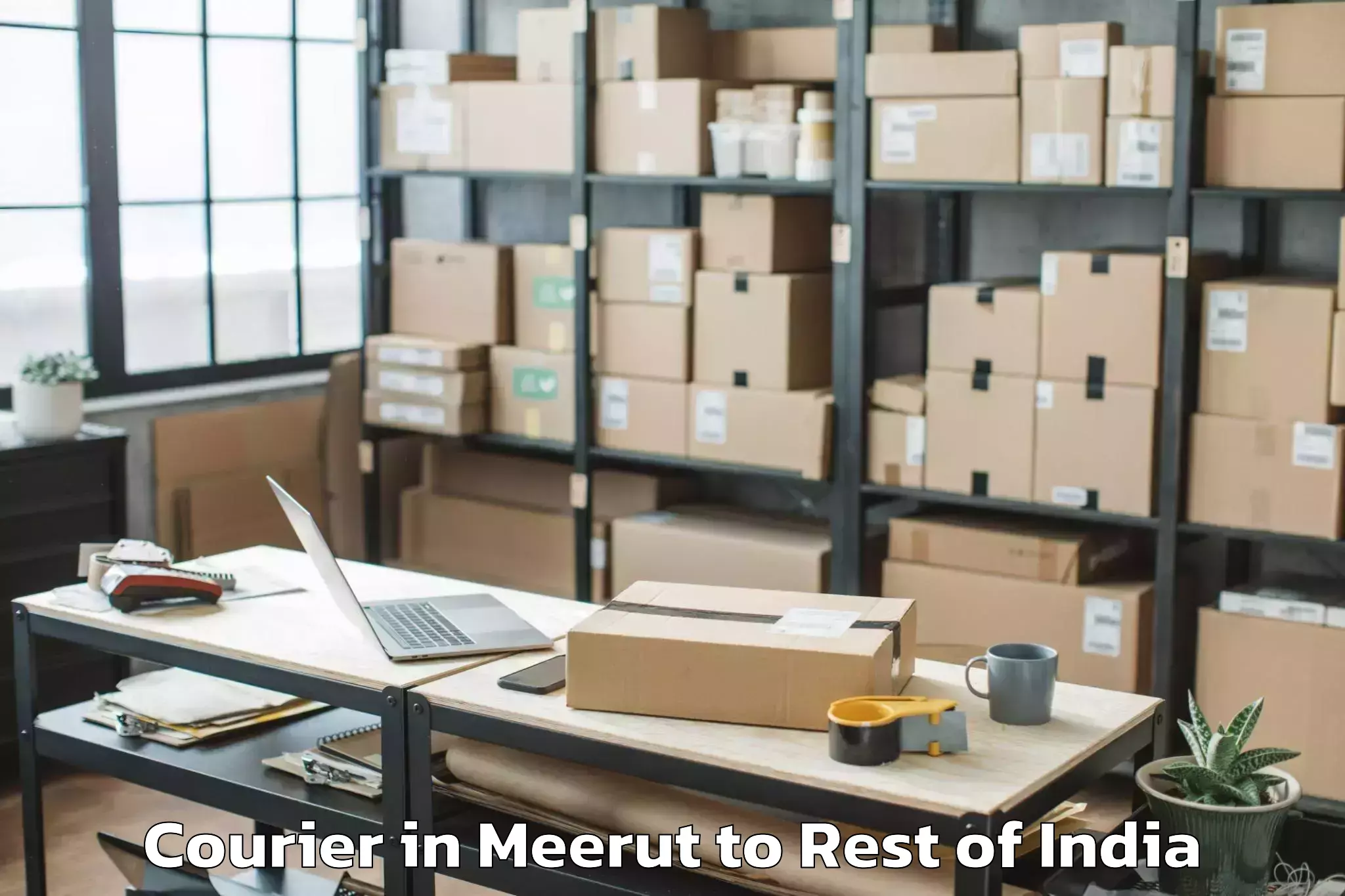 Hassle-Free Meerut to Dissing Passo Courier